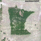 Illustration for article titled Theres A Forest Shaped Like Minnesota In Northern Minnesota
